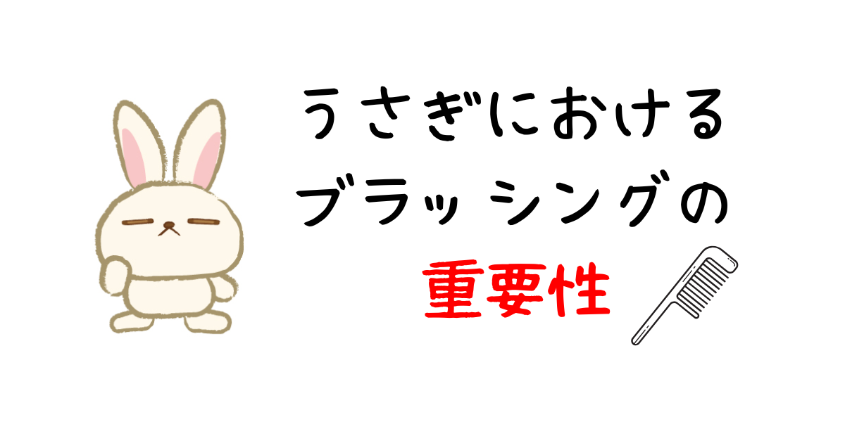 ブラッシングアイキャッチ