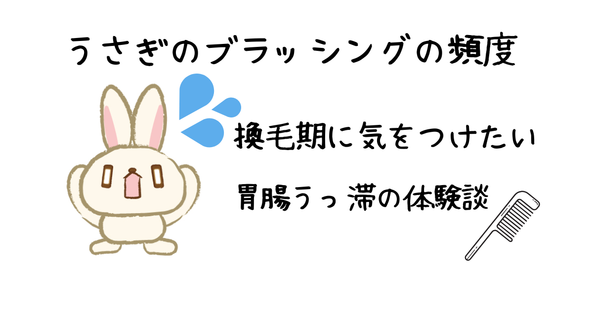 うさぎブラッシング大事鬱滞アイキャッチ