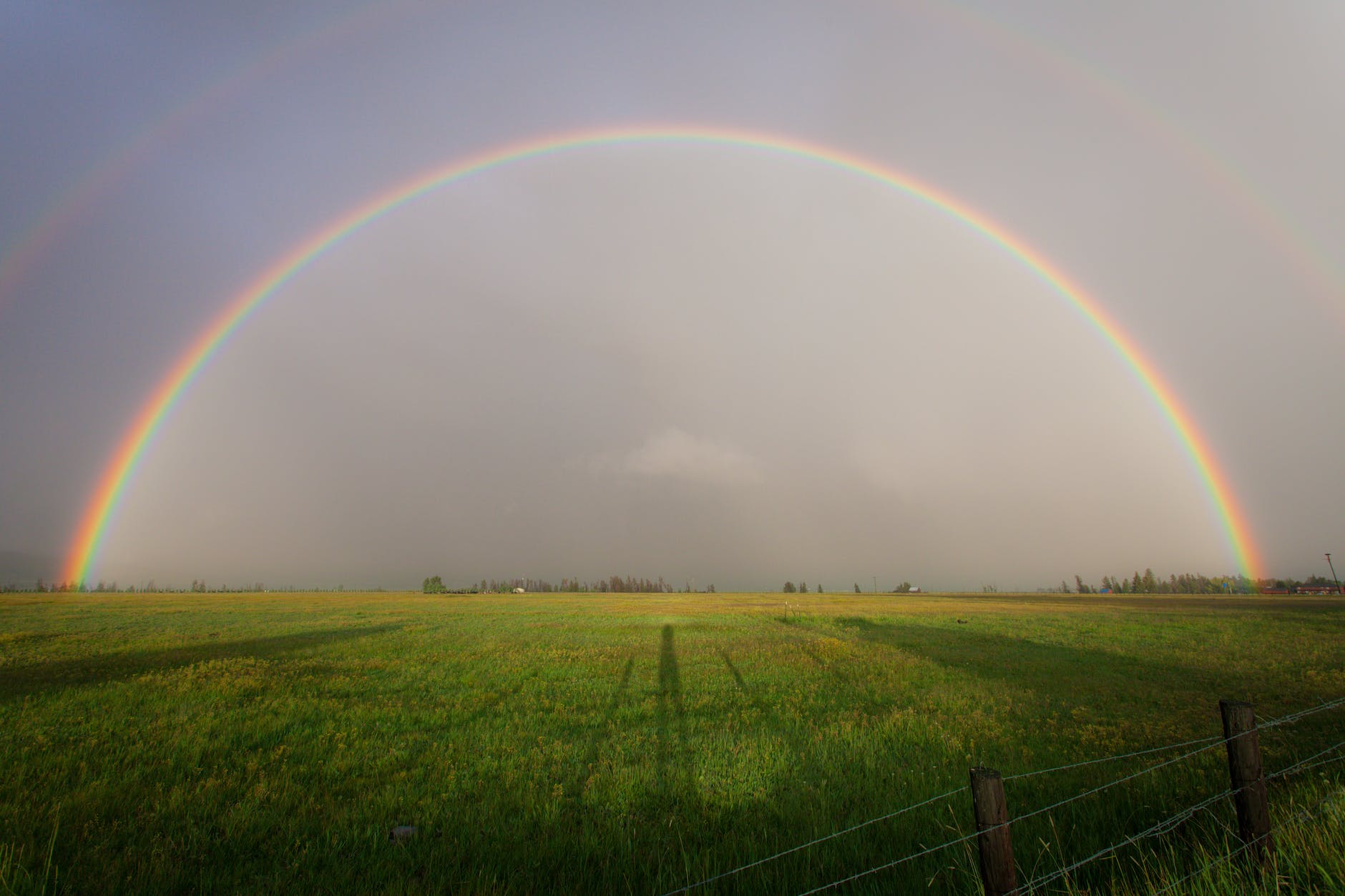 rainbow on grass field