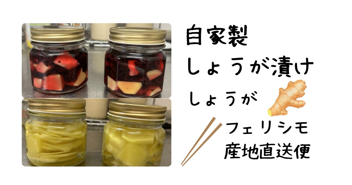 生姜漬けアイキャッチ