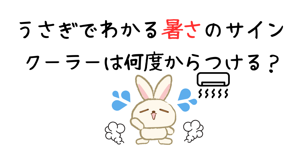 うさぎ暑さアイキャッチ