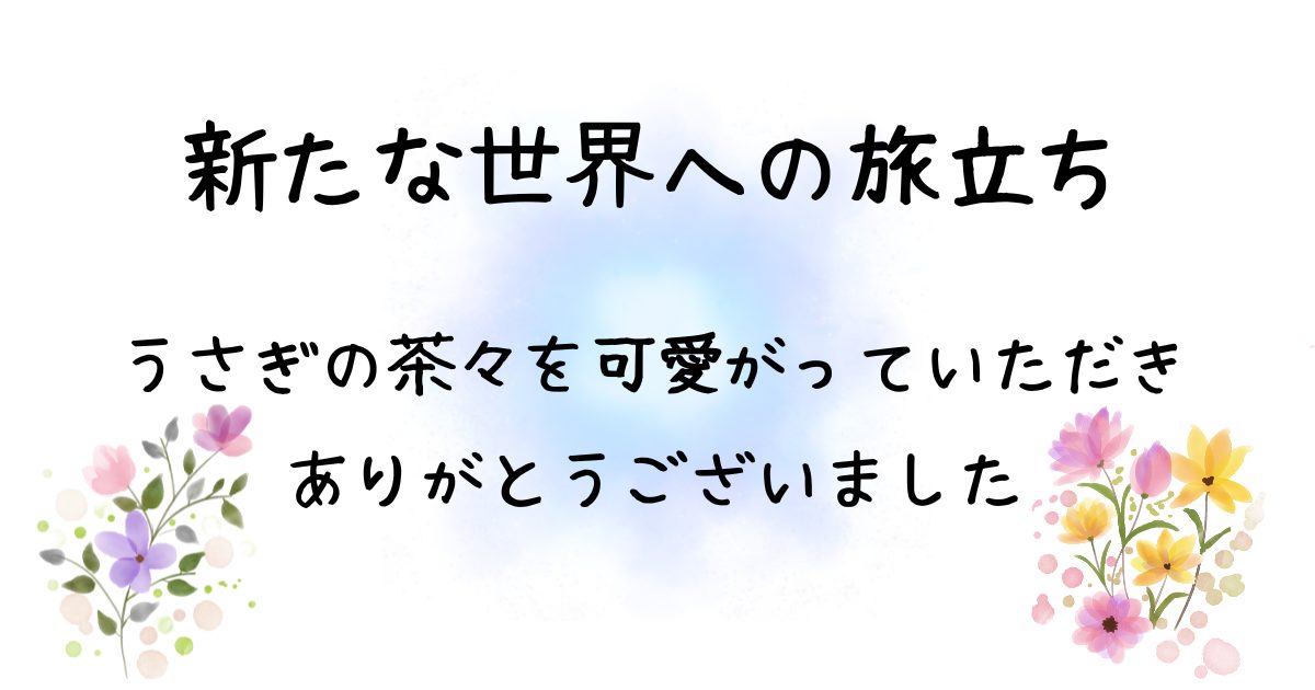 新たな世界へのアイキャッチ