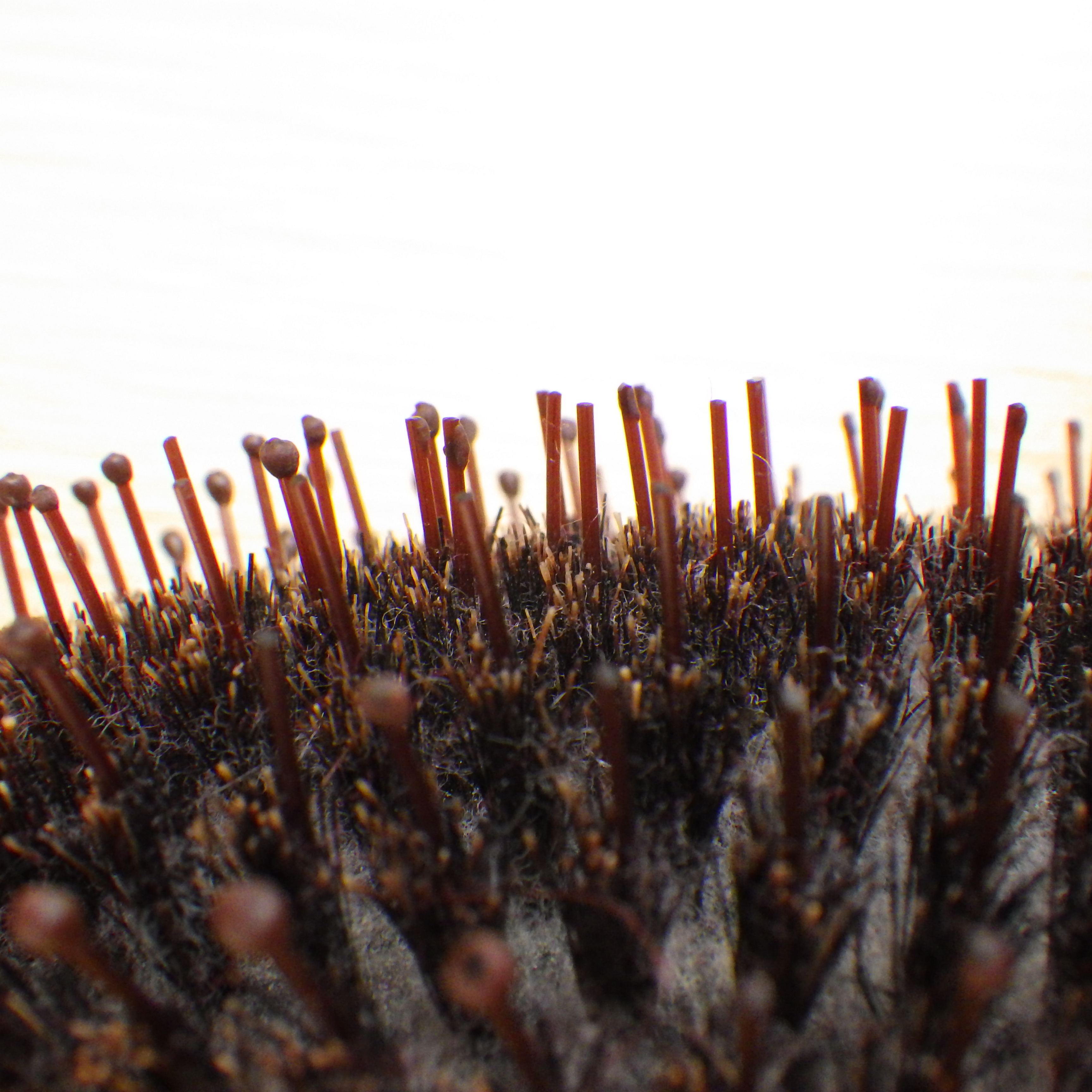 古いヘアブラシ 横から撮影