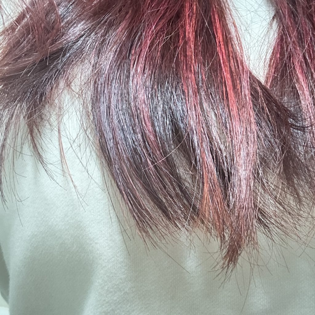 2025年10月に毛先を赤く染めた。2026年1月撮影の様子