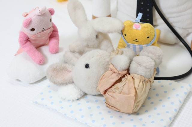 ぬいぐるみ病院のいのの先生の診察を受ける