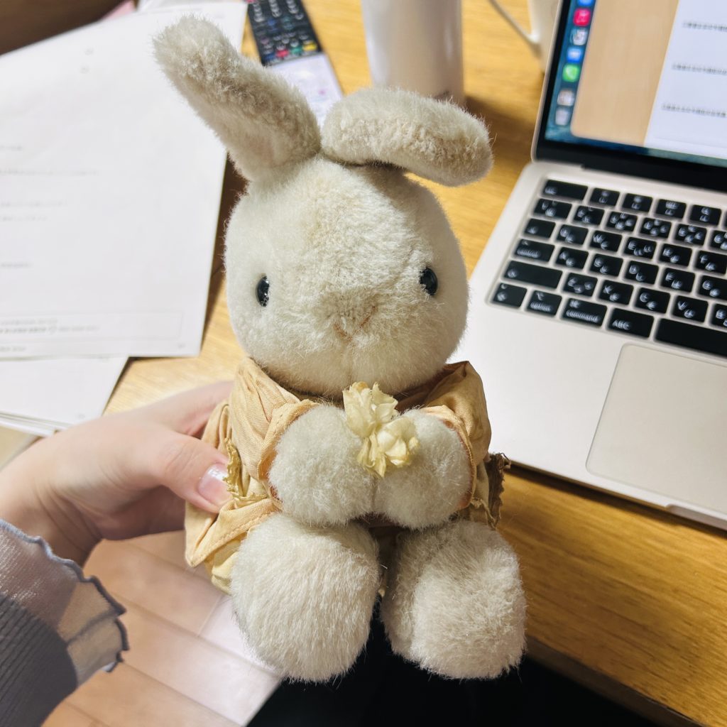 ぬいぐるみ病院へ送り出すうさぎさん